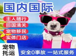 黄山航空货运国际宠物托运 【国